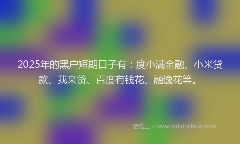 2025年的黑户短期口子有：度小满金融、小米贷款、我来贷、百度有钱花、融逸花等。