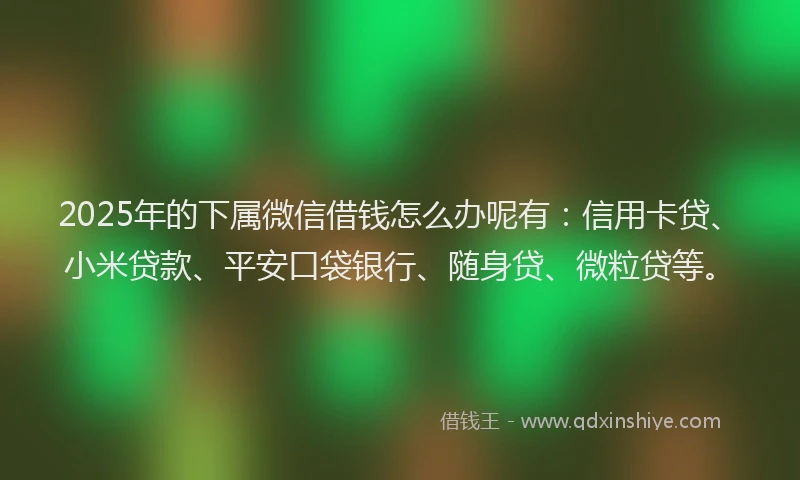 2025年的下属微信借钱怎么办呢有：信用卡贷、小米贷款、平安口袋银行、随身贷、微粒贷等。