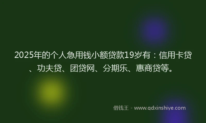 2025年的个人急用钱小额贷款19岁有：信用卡贷、功夫贷、团贷网、分期乐、惠商贷等。