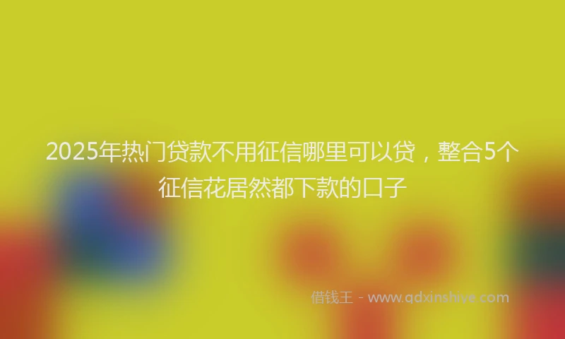 2025年热门贷款不用征信哪里可以贷，整合5个征信花居然都下款的口子