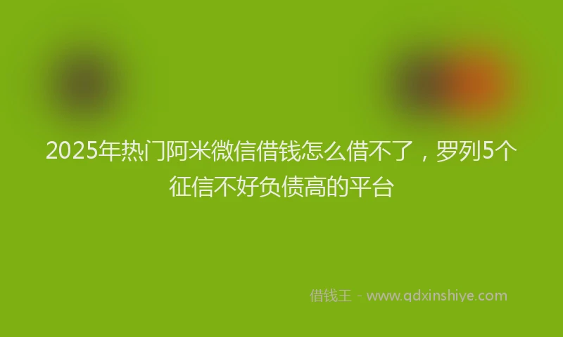 2025年热门阿米微信借钱怎么借不了，罗列5个征信不好负债高的平台