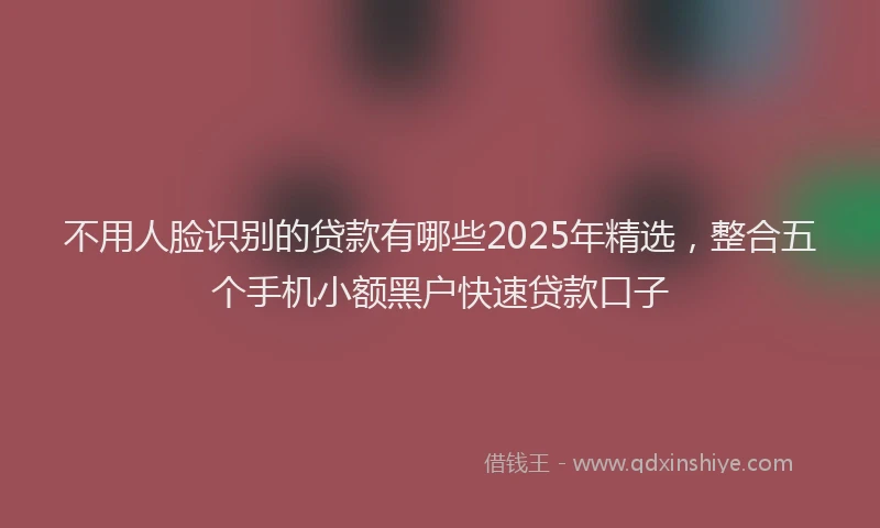 不用人脸识别的贷款有哪些2025年精选，整合五个手机小额黑户快速贷款口子