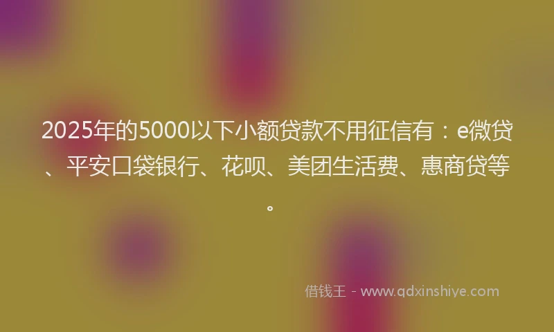 2025年的5000以下小额贷款不用征信有：e微贷、平安口袋银行、花呗、美团生活费、惠商贷等。