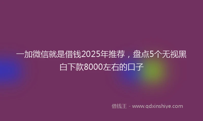 一加微信就是借钱2025年推荐，盘点5个无视黑白下款8000左右的口子