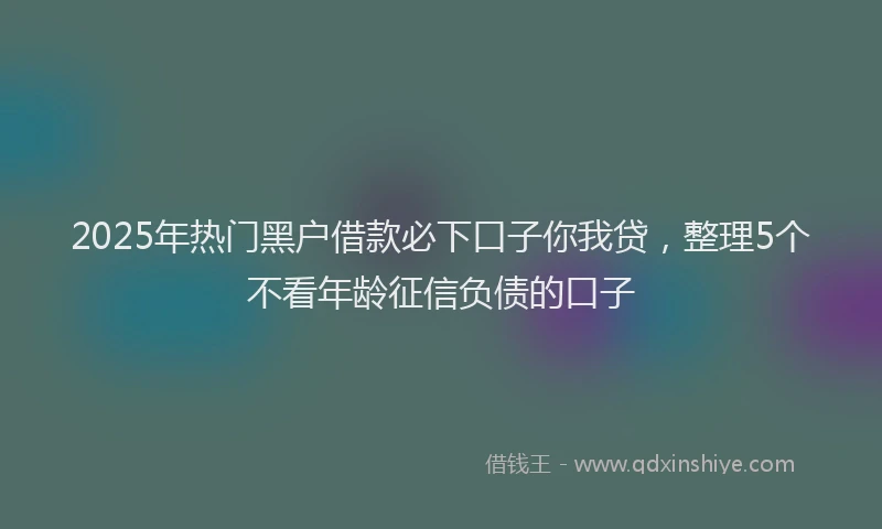 2025年热门黑户借款必下口子你我贷，整理5个不看年龄征信负债的口子