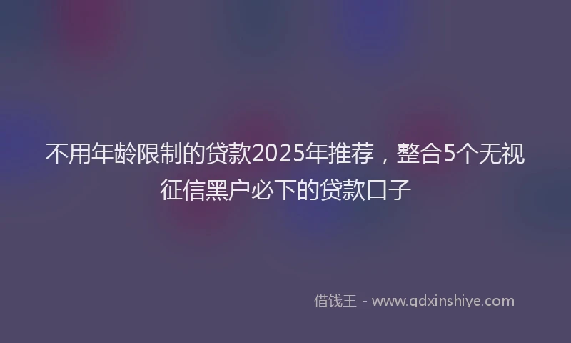 不用年龄限制的贷款2025年推荐，整合5个无视征信黑户必下的贷款口子