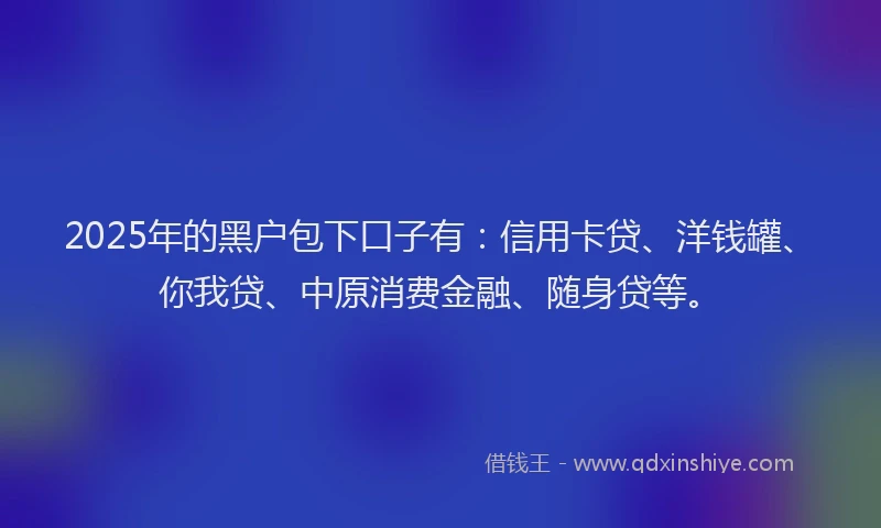 2025年的黑户包下口子有：信用卡贷、洋钱罐、你我贷、中原消费金融、随身贷等。