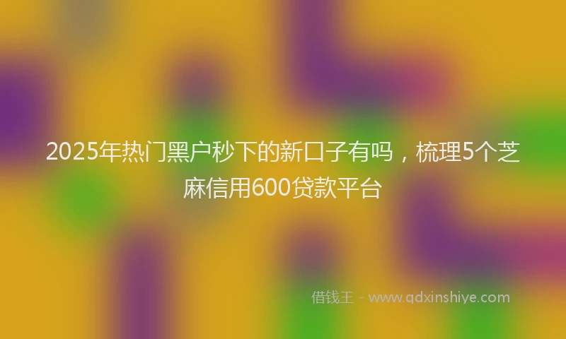 2025年热门黑户秒下的新口子有吗，梳理5个芝麻信用600贷款平台