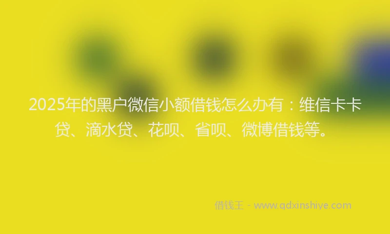 2025年的黑户微信小额借钱怎么办有：维信卡卡贷、滴水贷、花呗、省呗、微博借钱等。