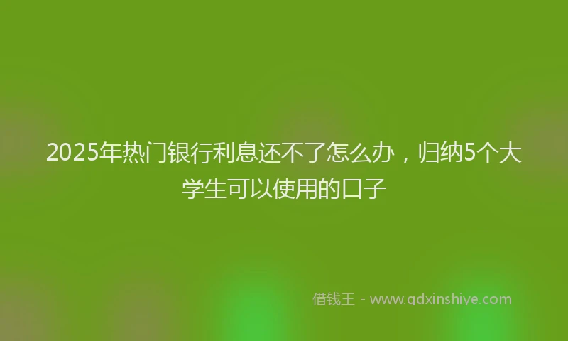 2025年热门银行利息还不了怎么办，归纳5个大学生可以使用的口子