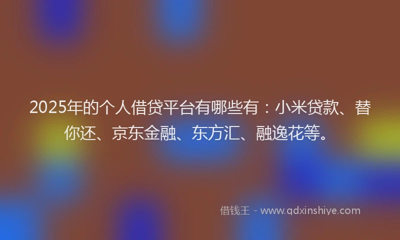 2025年的个人借贷平台有哪些有：小米贷款、替你还、京东金融、东方汇、融逸花等。