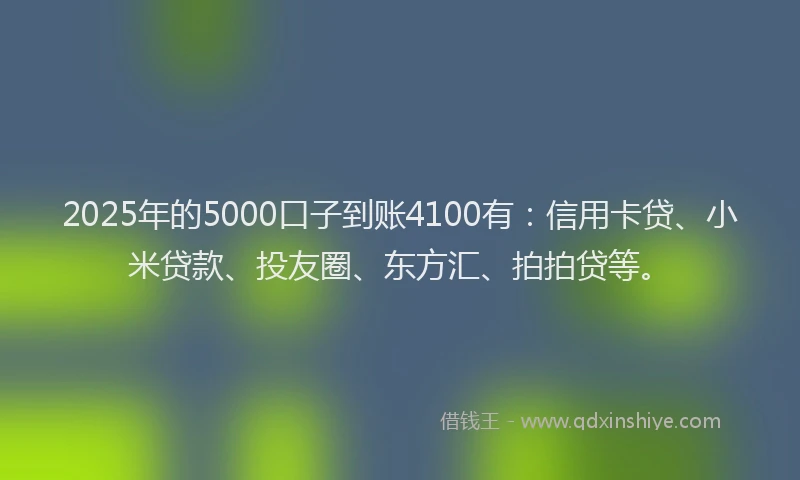 2025年的5000口子到账4100有：信用卡贷、小米贷款、投友圈、东方汇、拍拍贷等。