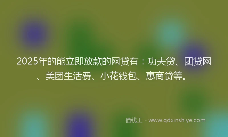 2025年的能立即放款的网贷有：功夫贷、团贷网、美团生活费、小花钱包、惠商贷等。