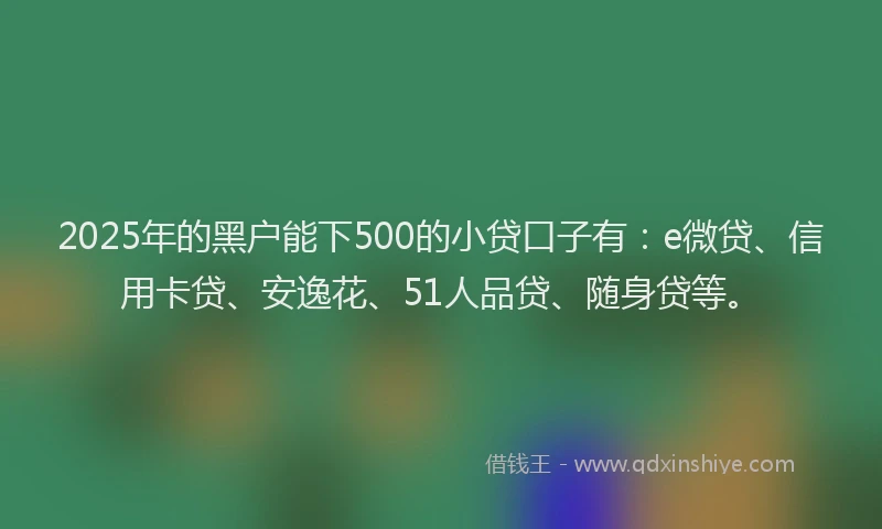 2025年的黑户能下500的小贷口子有：e微贷、信用卡贷、安逸花、51人品贷、随身贷等。