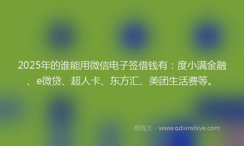 2025年的谁能用微信电子签借钱有：度小满金融、e微贷、超人卡、东方汇、美团生活费等。