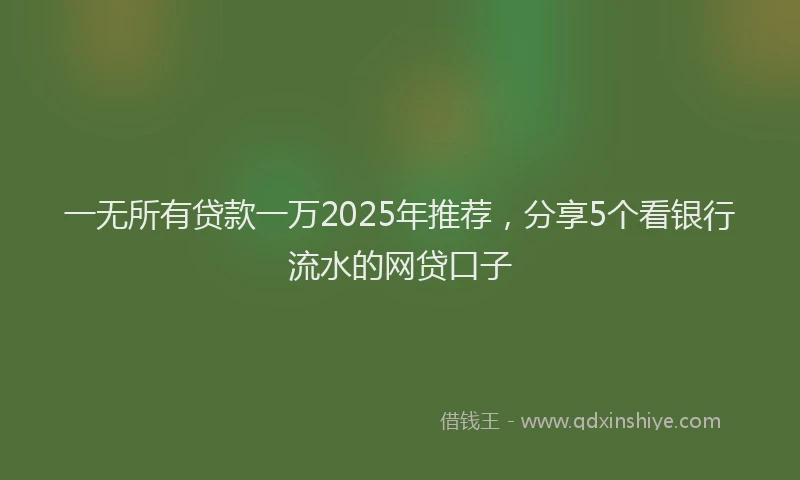 一无所有贷款一万2025年推荐，分享5个看银行流水的网贷口子