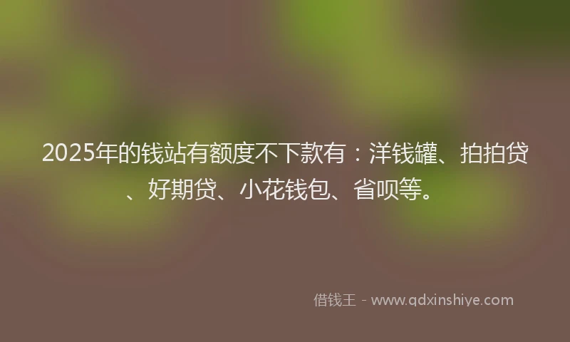 2025年的钱站有额度不下款有：洋钱罐、拍拍贷、好期贷、小花钱包、省呗等。