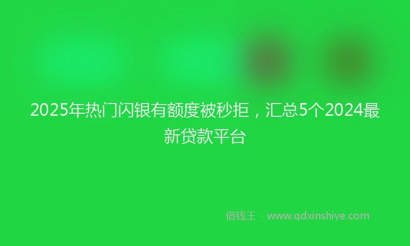 2025年热门闪银有额度被秒拒，汇总5个2024最新贷款平台