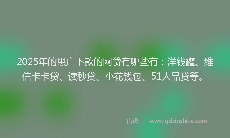 2025年的黑户下款的网贷有哪些有：洋钱罐、维信卡卡贷、读秒贷、小花钱包、51人品贷等。