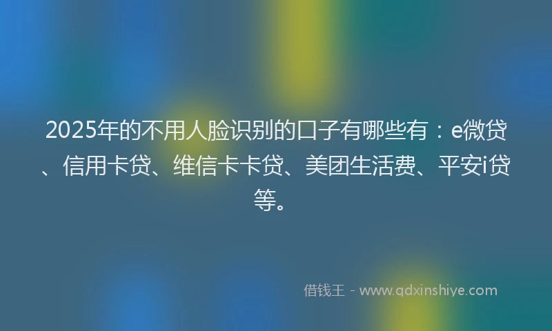 2025年的不用人脸识别的口子有哪些有：e微贷、信用卡贷、维信卡卡贷、美团生活费、平安i贷等。
