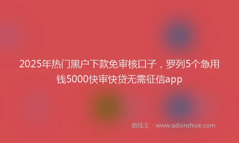 2025年热门黑户下款免审核口子，罗列5个急用钱5000快审快贷无需征信app