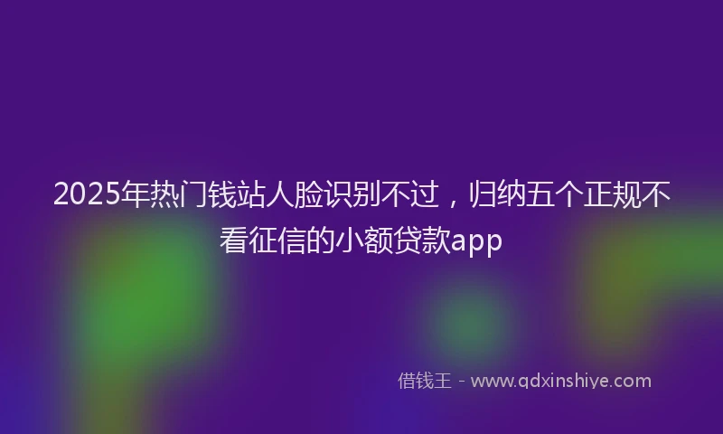 2025年热门钱站人脸识别不过，归纳五个正规不看征信的小额贷款app