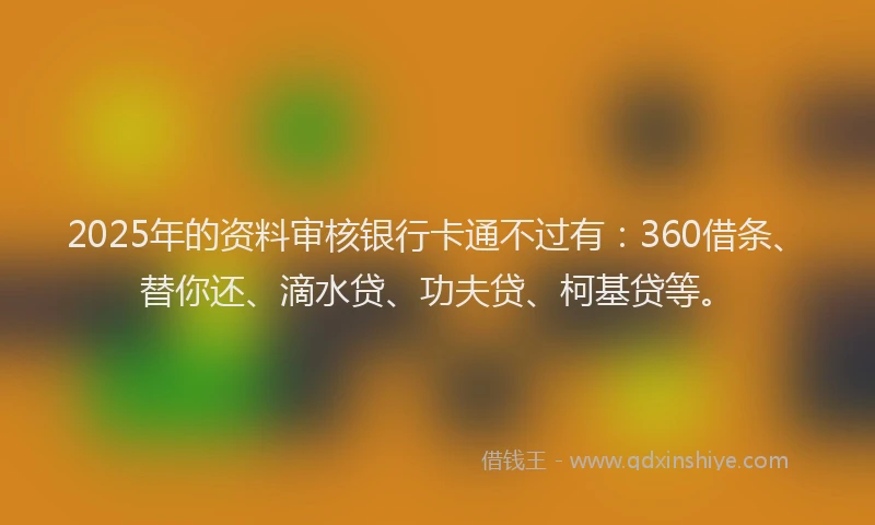 2025年的资料审核银行卡通不过有：360借条、替你还、滴水贷、功夫贷、柯基贷等。