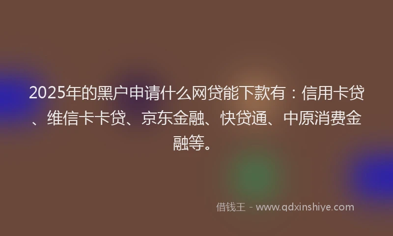 2025年的黑户申请什么网贷能下款有：信用卡贷、维信卡卡贷、京东金融、快贷通、中原消费金融等。