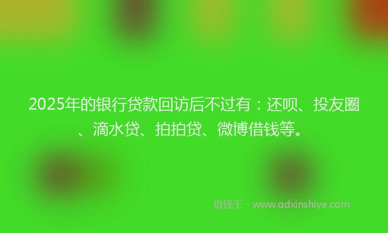 2025年的银行贷款回访后不过有：还呗、投友圈、滴水贷、拍拍贷、微博借钱等。