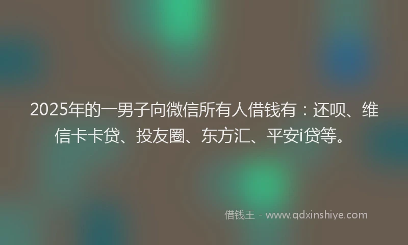 2025年的一男子向微信所有人借钱有：还呗、维信卡卡贷、投友圈、东方汇、平安i贷等。