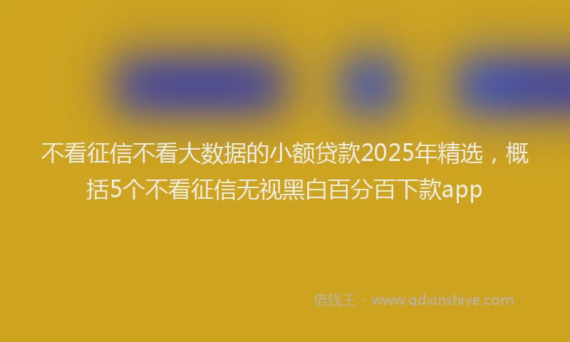 不看征信不看大数据的小额贷款2025年精选，概括5个不看征信无视黑白百分百下款app