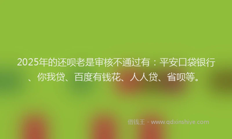 2025年的还呗老是审核不通过有：平安口袋银行、你我贷、百度有钱花、人人贷、省呗等。