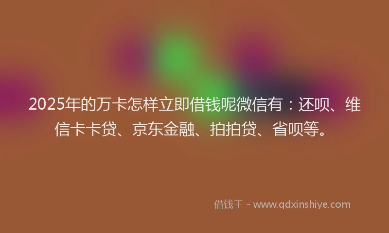 2025年的万卡怎样立即借钱呢微信有：还呗、维信卡卡贷、京东金融、拍拍贷、省呗等。