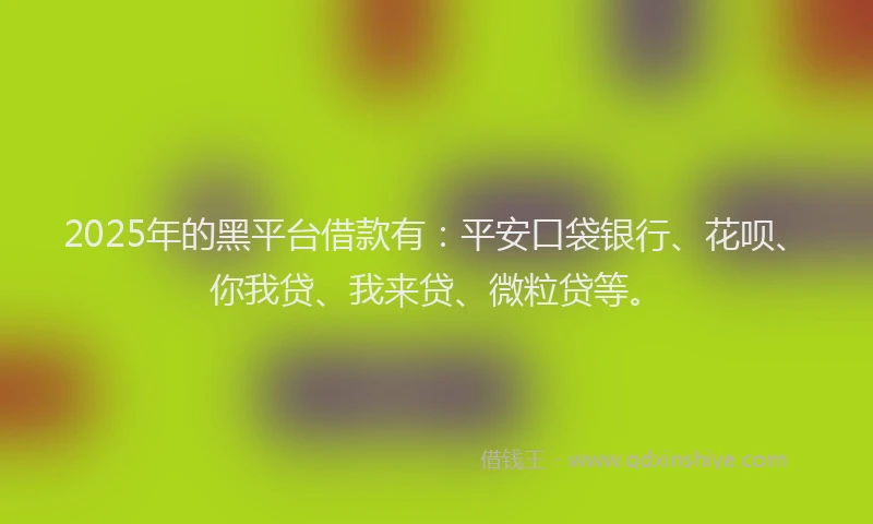 2025年的黑平台借款有：平安口袋银行、花呗、你我贷、我来贷、微粒贷等。