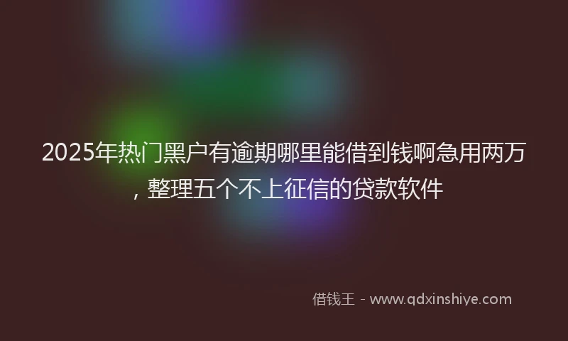2025年热门黑户有逾期哪里能借到钱啊急用两万，整理五个不上征信的贷款软件