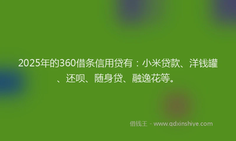 2025年的360借条信用贷有：小米贷款、洋钱罐、还呗、随身贷、融逸花等。