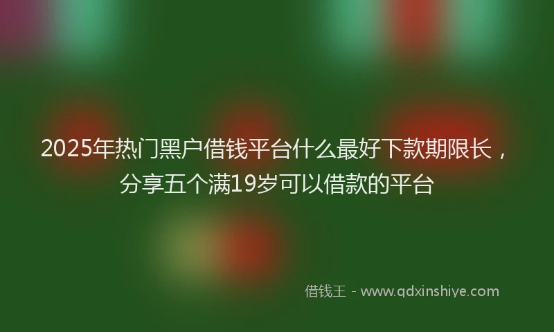 2025年热门黑户借钱平台什么最好下款期限长，分享五个满19岁可以借款的平台