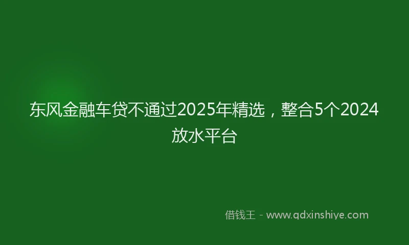 东风金融车贷不通过2025年精选，整合5个2024放水平台