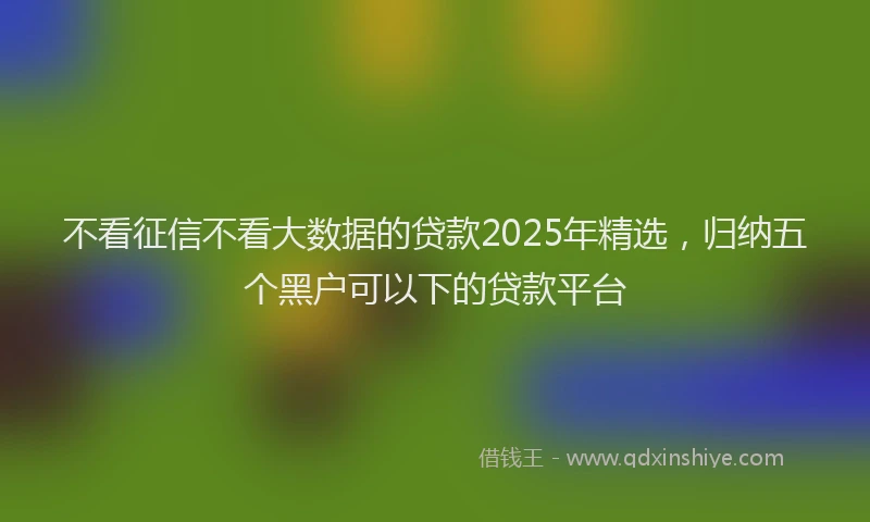 不看征信不看大数据的贷款2025年精选，归纳五个黑户可以下的贷款平台