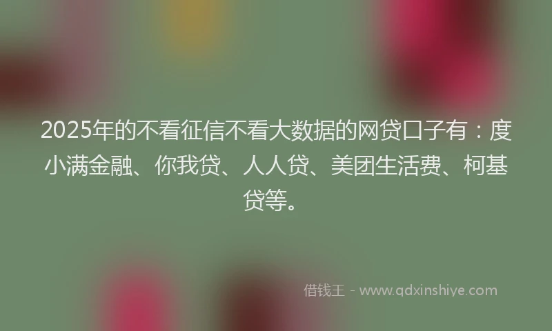 2025年的不看征信不看大数据的网贷口子有：度小满金融、你我贷、人人贷、美团生活费、柯基贷等。