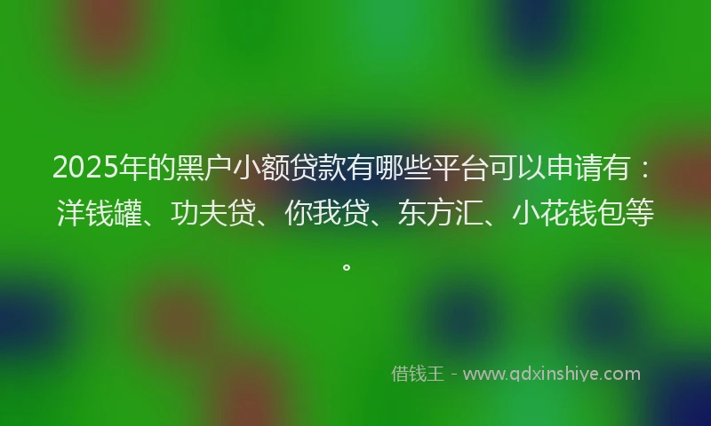 2025年的黑户小额贷款有哪些平台可以申请有：洋钱罐、功夫贷、你我贷、东方汇、小花钱包等。
