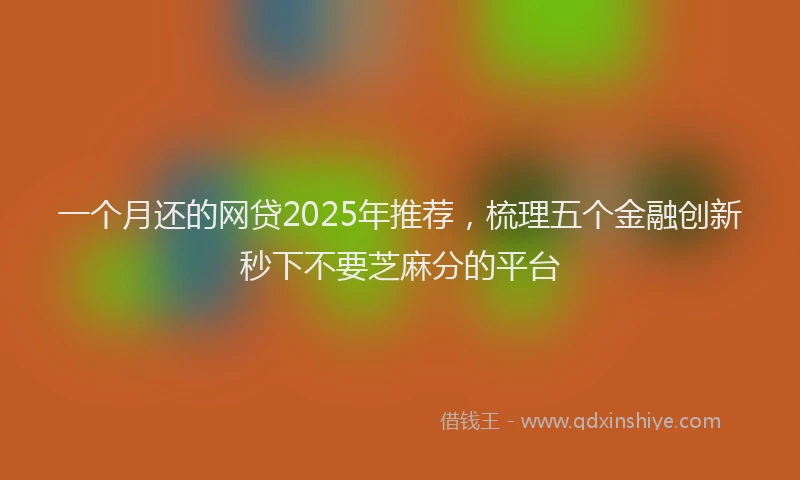 一个月还的网贷2025年推荐，梳理五个金融创新秒下不要芝麻分的平台