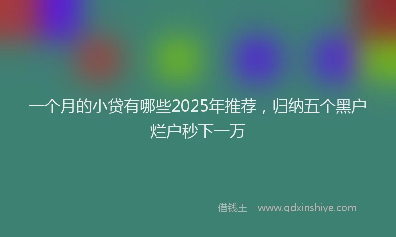 一个月的小贷有哪些2025年推荐，归纳五个黑户烂户秒下一万
