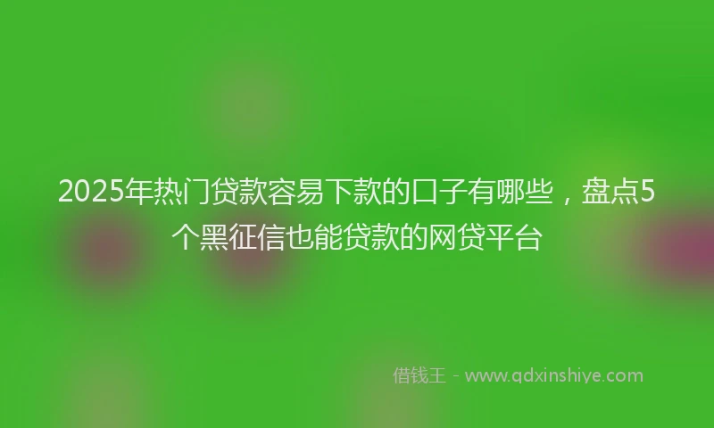 2025年热门贷款容易下款的口子有哪些，盘点5个黑征信也能贷款的网贷平台