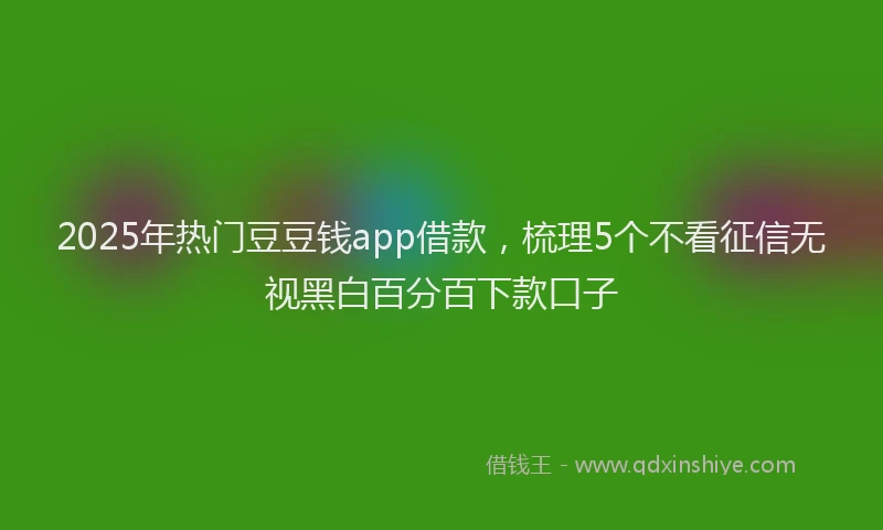 2025年热门豆豆钱app借款，梳理5个不看征信无视黑白百分百下款口子
