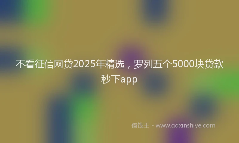不看征信网贷2025年精选，罗列五个5000块贷款秒下app