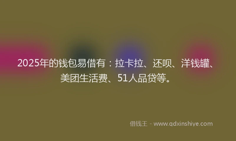2025年的钱包易借有：拉卡拉、还呗、洋钱罐、美团生活费、51人品贷等。