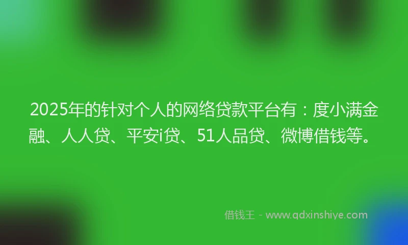 2025年的针对个人的网络贷款平台有：度小满金融、人人贷、平安i贷、51人品贷、微博借钱等。
