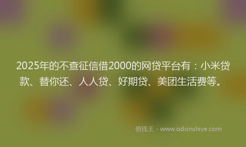 2025年的不查征信借2000的网贷平台有：小米贷款、替你还、人人贷、好期贷、美团生活费等。