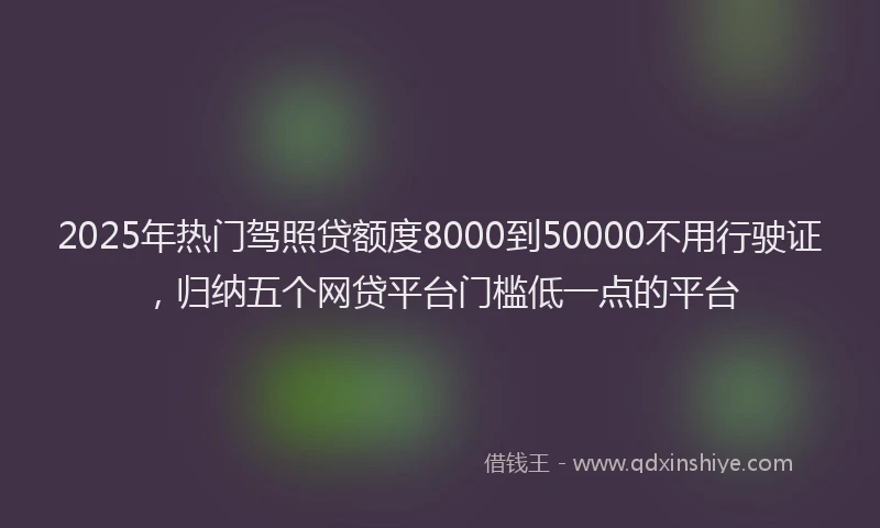 2025年热门驾照贷额度8000到50000不用行驶证，归纳五个网贷平台门槛低一点的平台